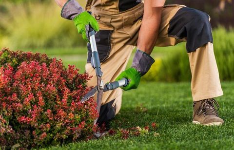 Garden Maintenance Tips: Essential Guide to Keep Your Outdoor Space Healthy Year-Round